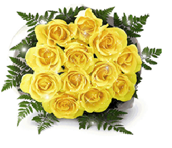 roses jaunes