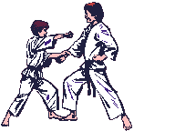 judo