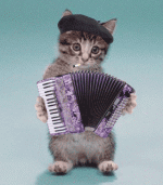 chat accordeon
