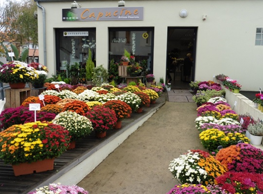 fleuriste