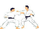 sport judo17