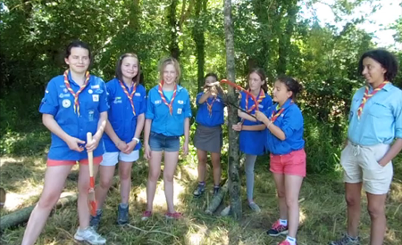 scout 3 450