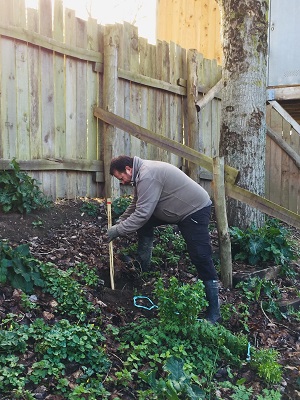 Plantation arbres 2 mars 2019 300